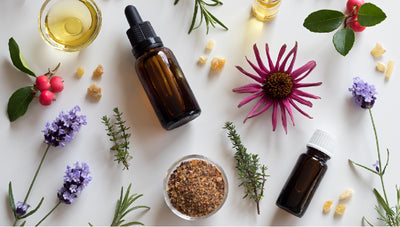 How To Make Herbal Tinctures From Your Garden