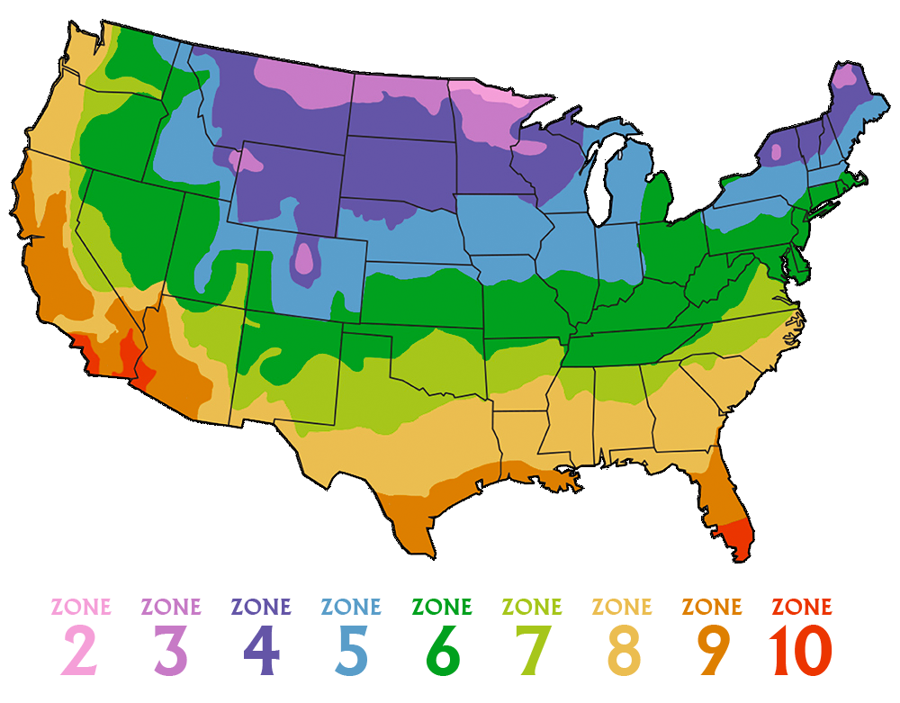 USDA Zone Map: The Southern Guide To Plant Hardiness And Climate Zones