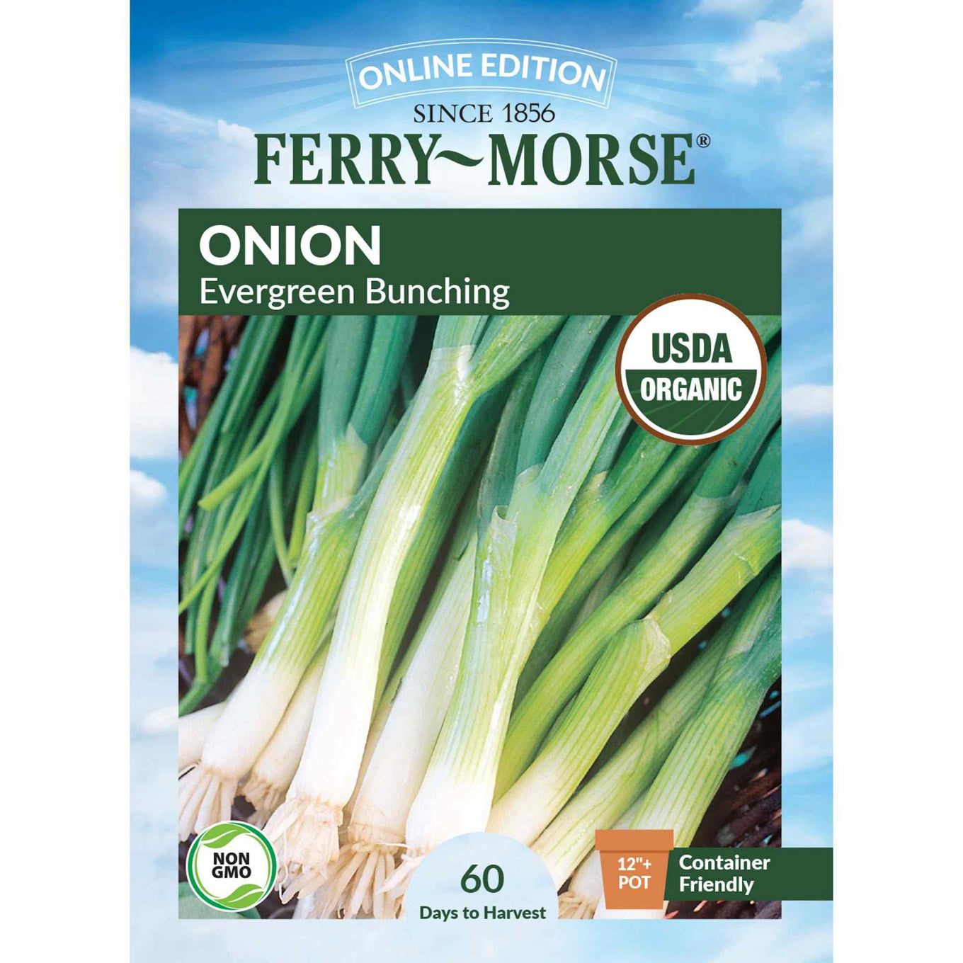 Ferry-Morse onion evergreen bunching seed packet