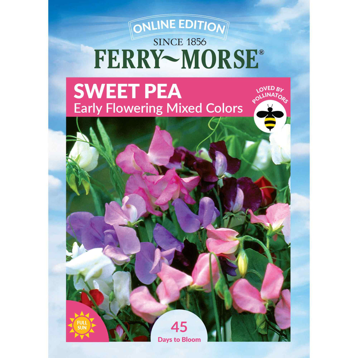 Sweet pea early flowering front of packaging