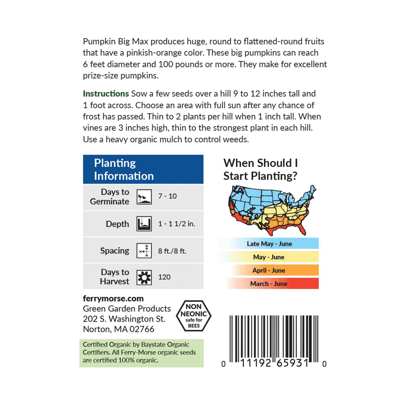 Ferry-Morse pumpkin big max seed packet