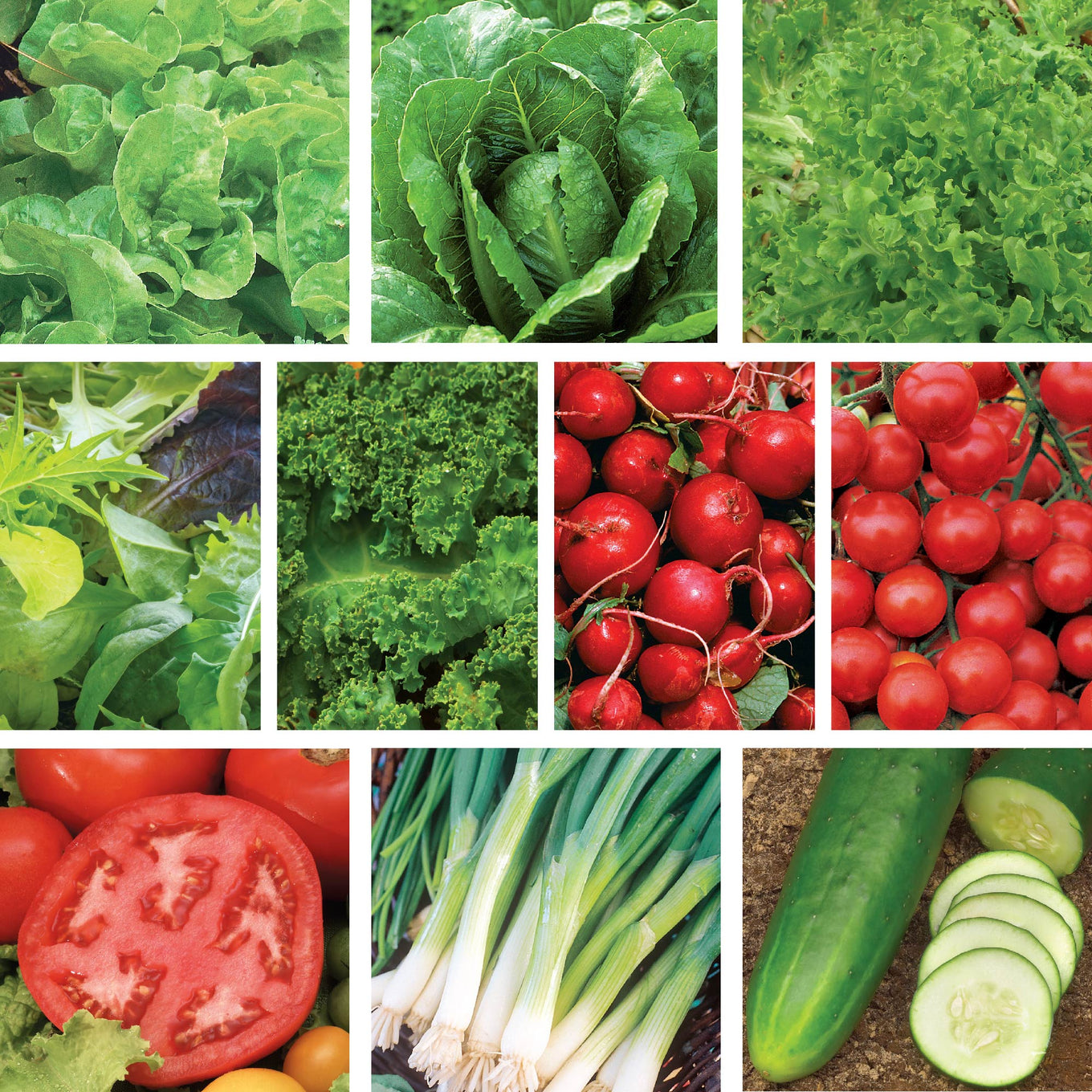A collection of vegetables