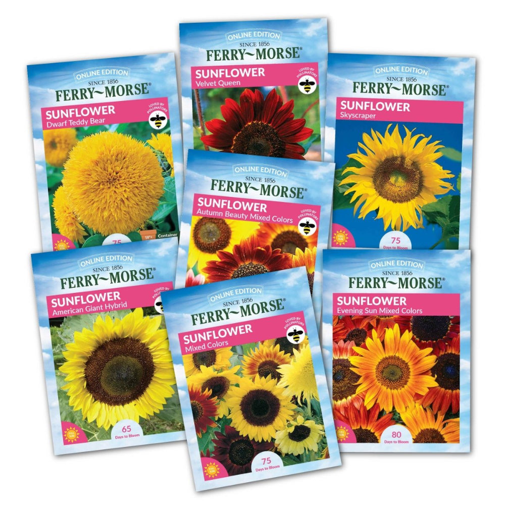 types of sunflower seeds for planting Ferry-Morse Grow the Sunshine Sunflower Seed Variety Pack
