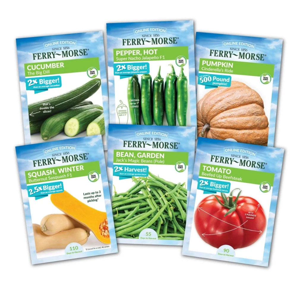 Colossal Vegetable Non-GMO Seed Variety Pack