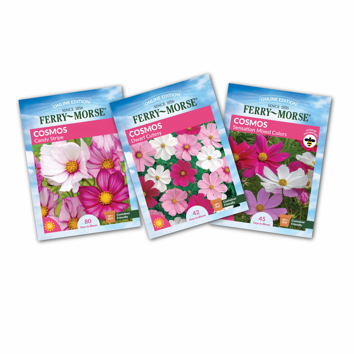 Three packets of Cosmos flower seeds in a variety of colors, labeled with different seed types.