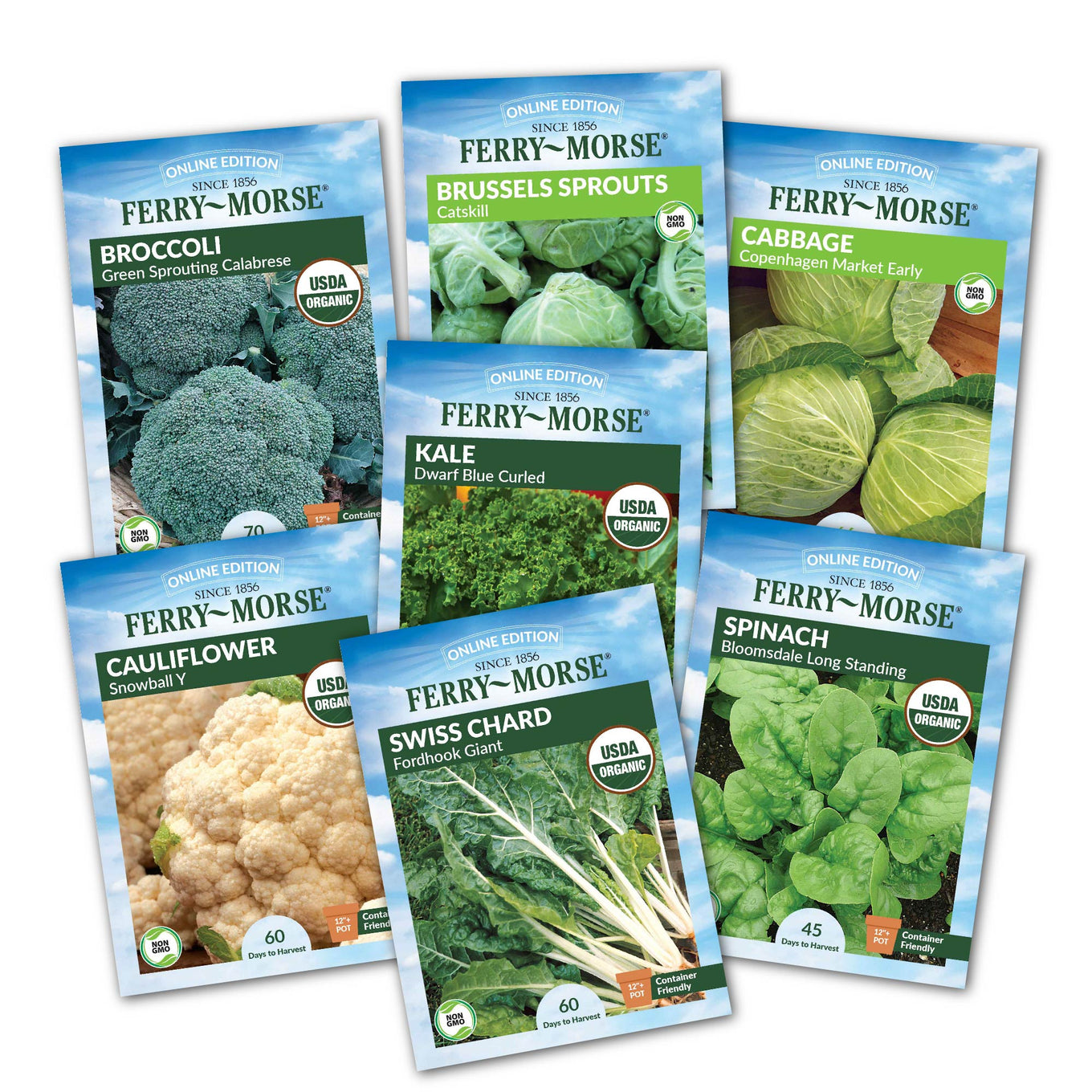 A collection of Ferry-Morse brand seed packets for various types of leafy green vegetables.