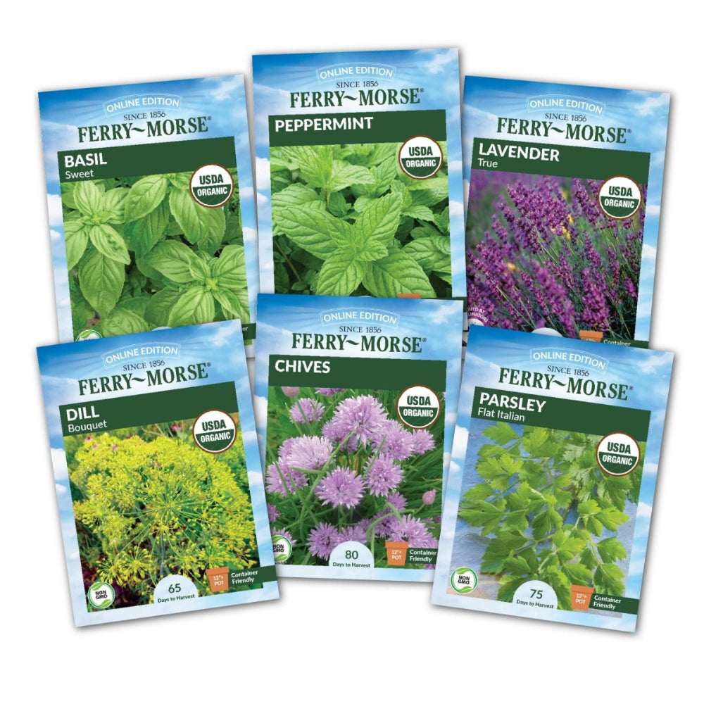 Ferry-Morse Kitchen Herb Organic Seed Variety Pack