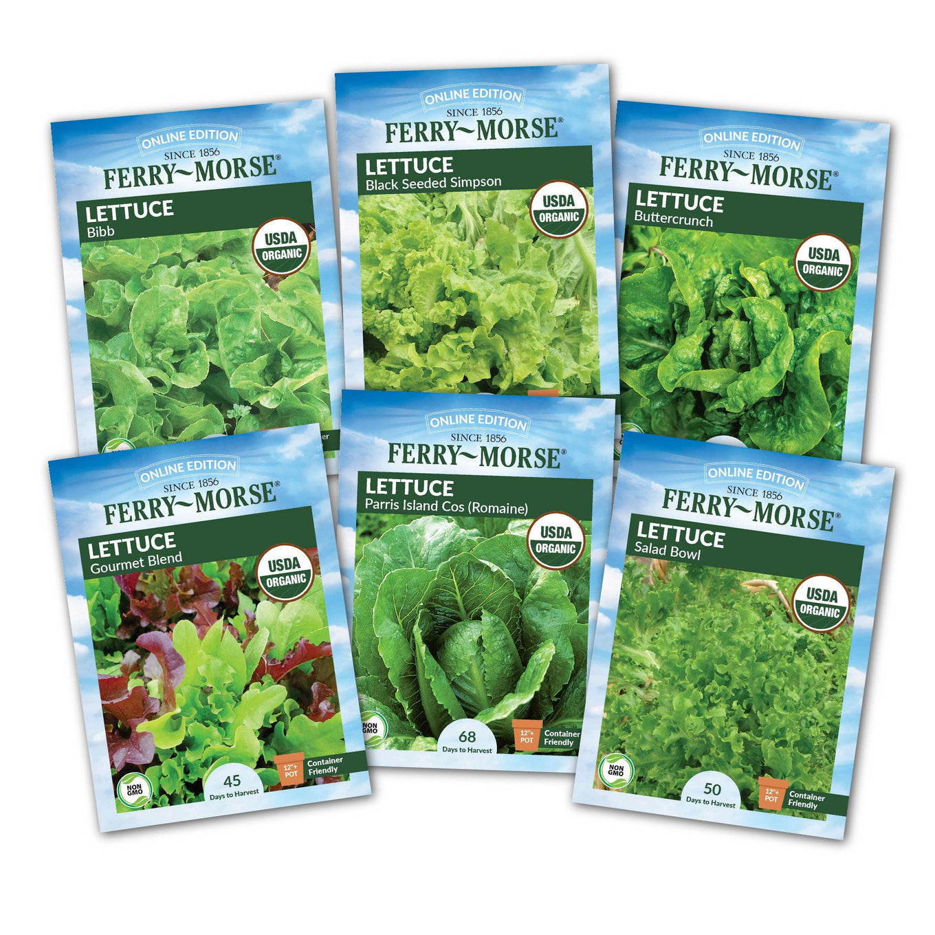 A collection of six seed packets labeled for various varieties of lettuce, all from Ferry-Morse. Each packet displays an image of the mature lettuce plant.
