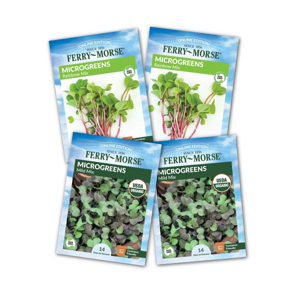 Microgreen Seed Bundle (4 Pack) - Fresh, Easy-to-Grow Greens