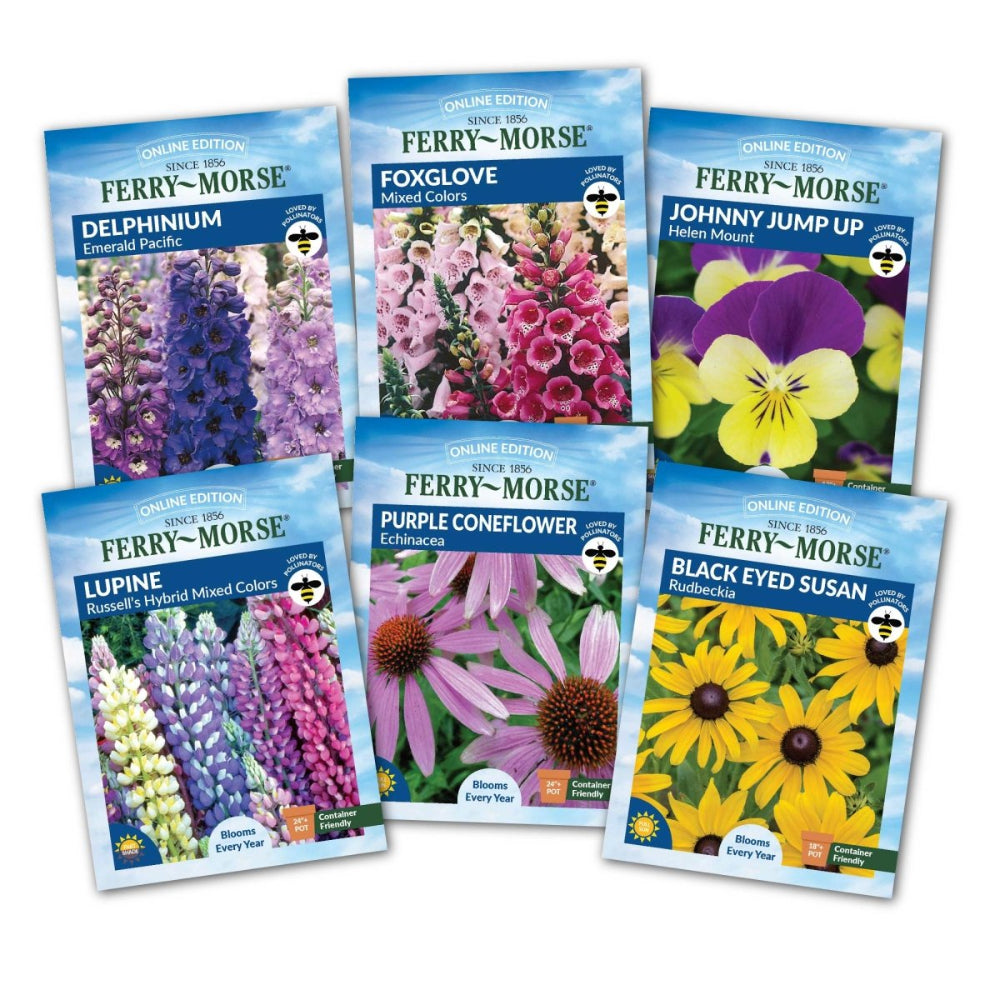 Ferry-Morse Perennials to Plant in Fall Seed Variety Pack