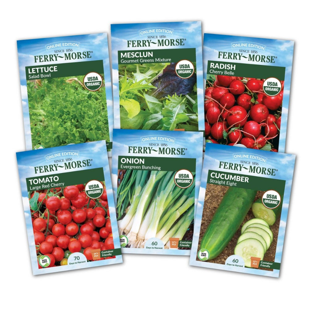 fruit and vegetable garden seeds Organic Salad Garden Seed Variety Pack