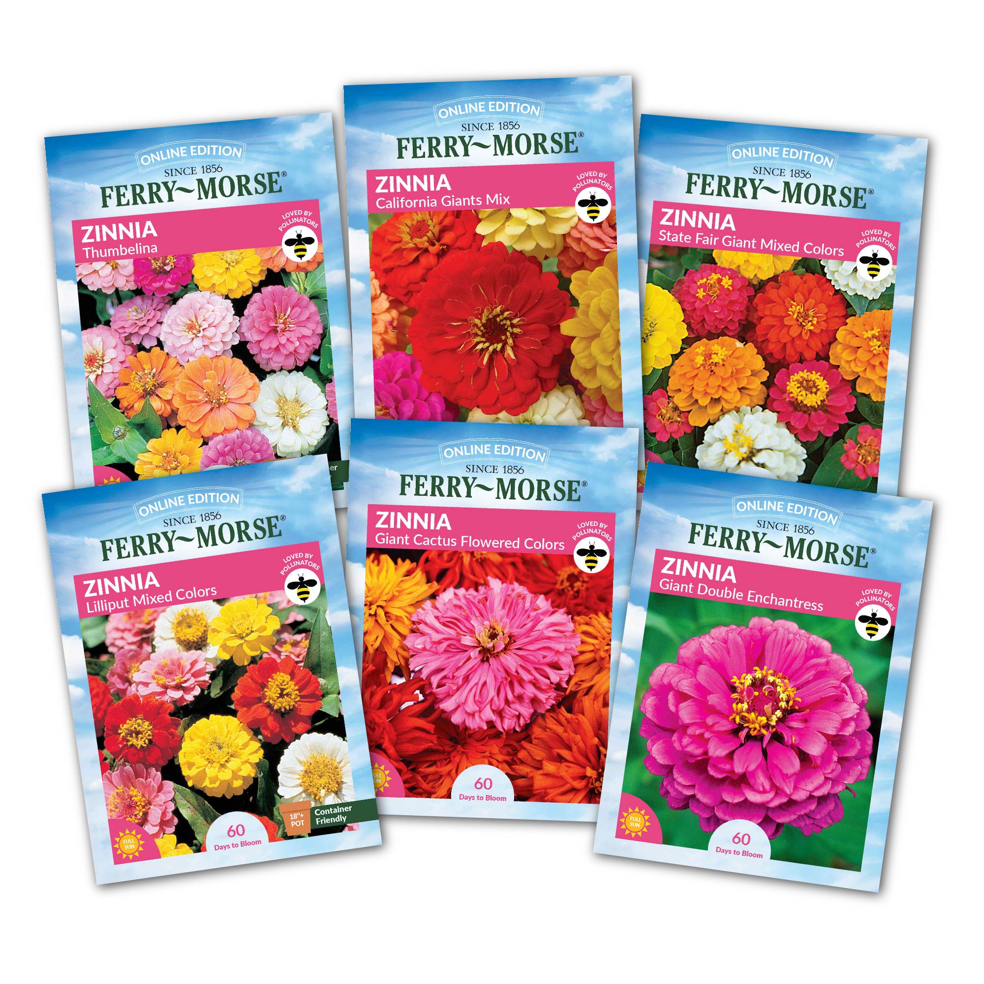 Colorful Zinnia Seed Bundle (6 Pack) – Vibrant Flowers for