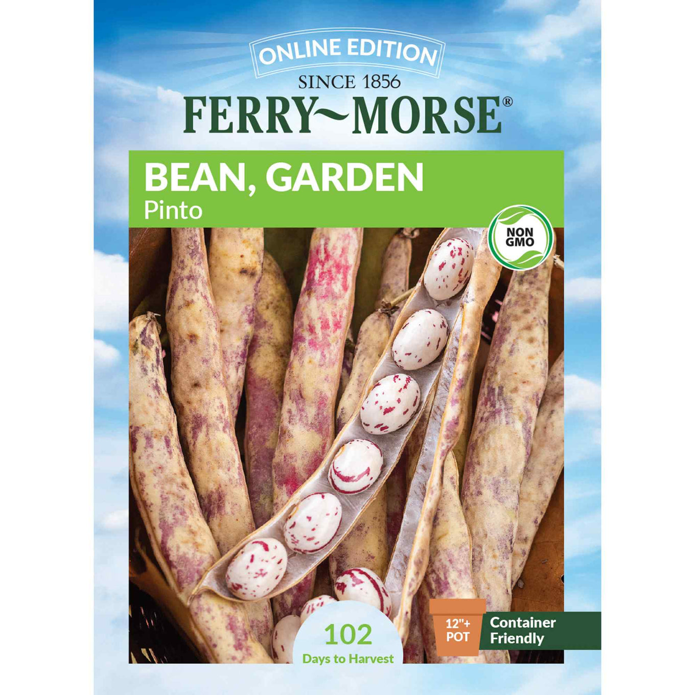 Ferry-Morse pinto bean seed packet