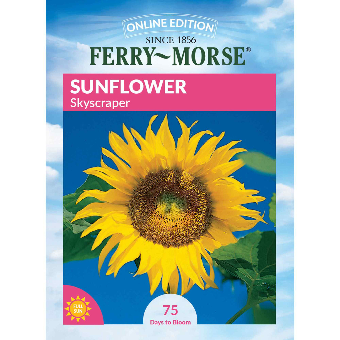 Sunflower skyscraper front of packaging