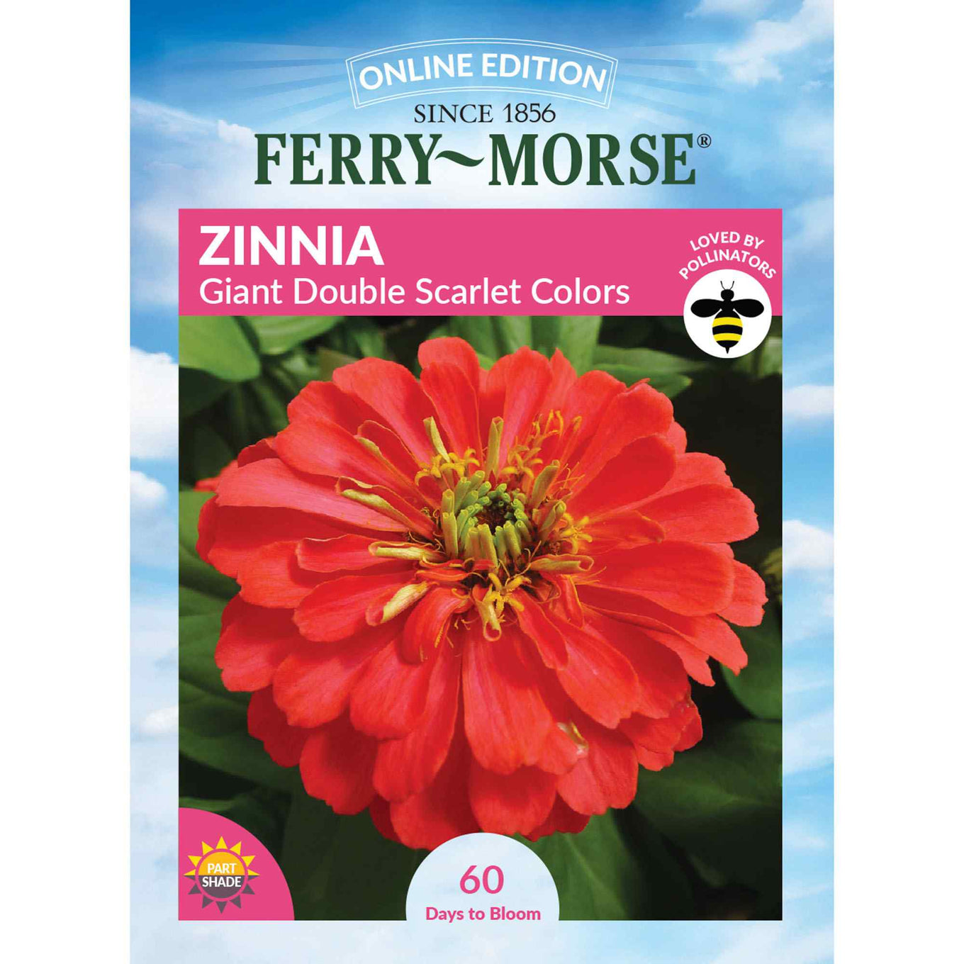 Zinnia giant double flowered scarlet colors front of packaging