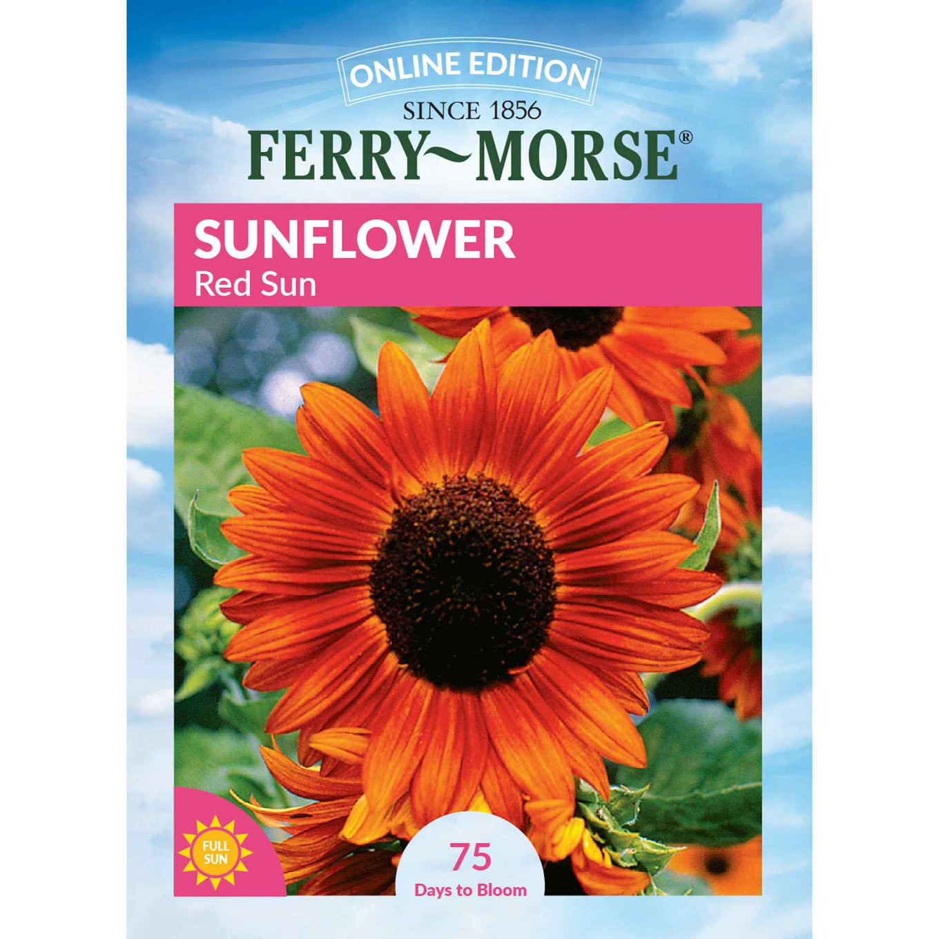 Sunflower red sun front of packaging