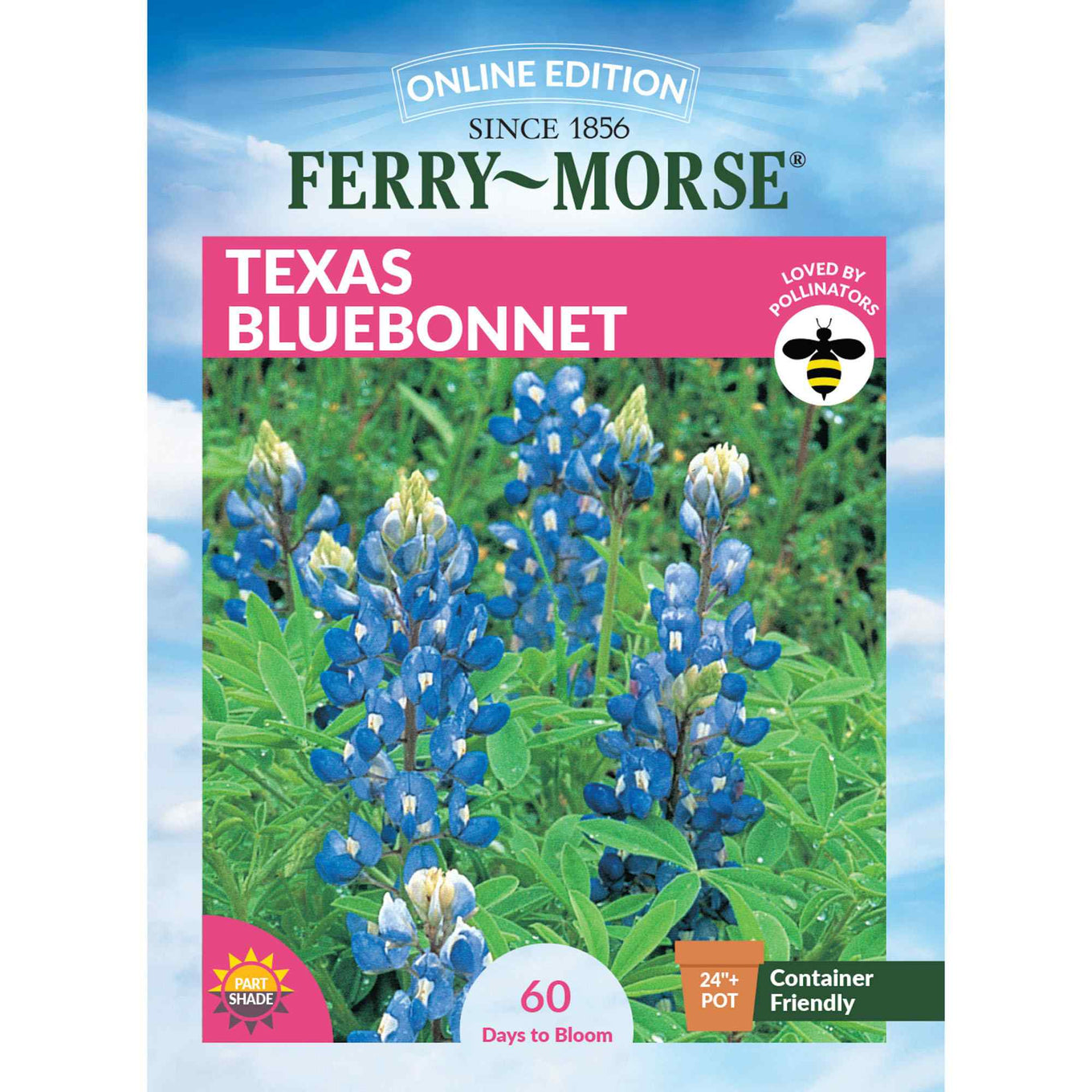 Texas bluebonnet front of packaging