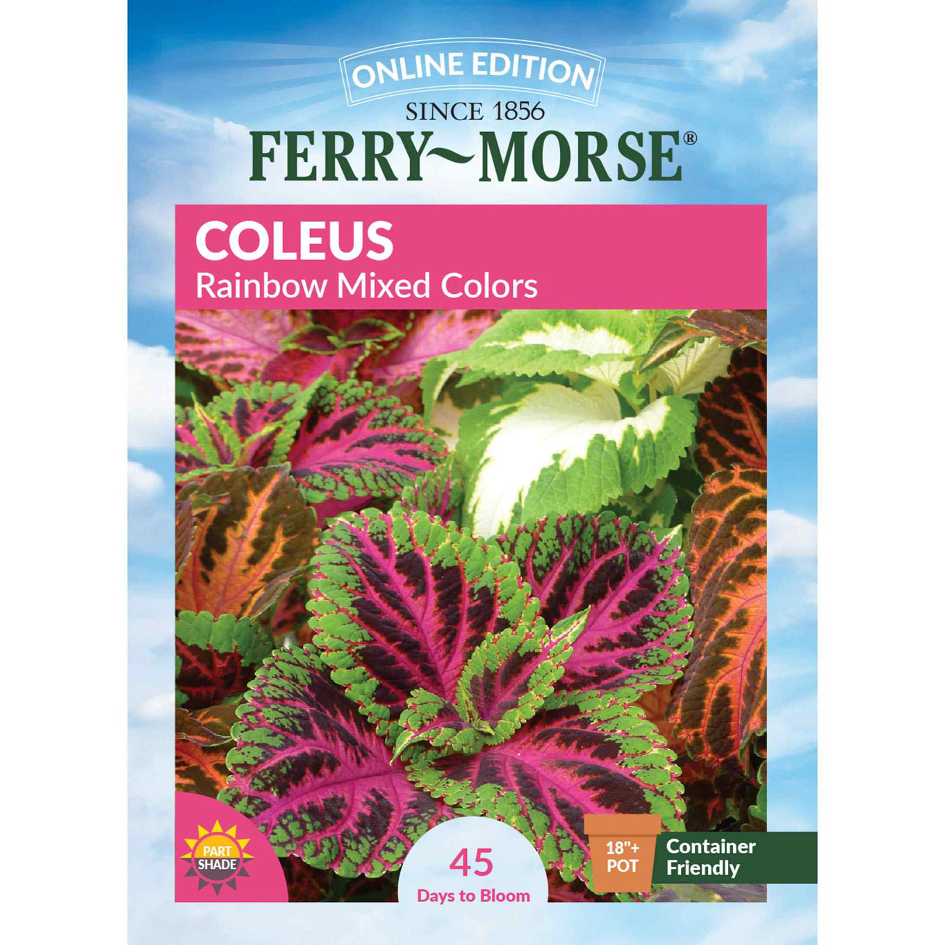Ferry-Morse Coleus Rainbow Mixed Colors seed packet with colorful leaves on a blue sky background.