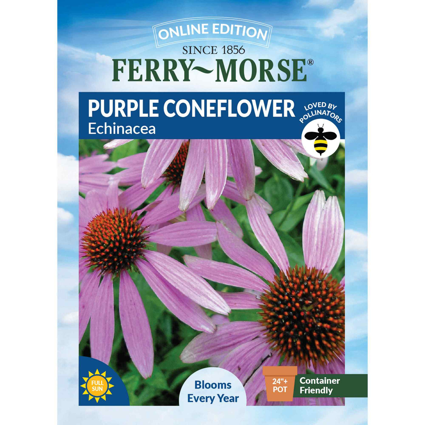 purple coneflower front of packaging