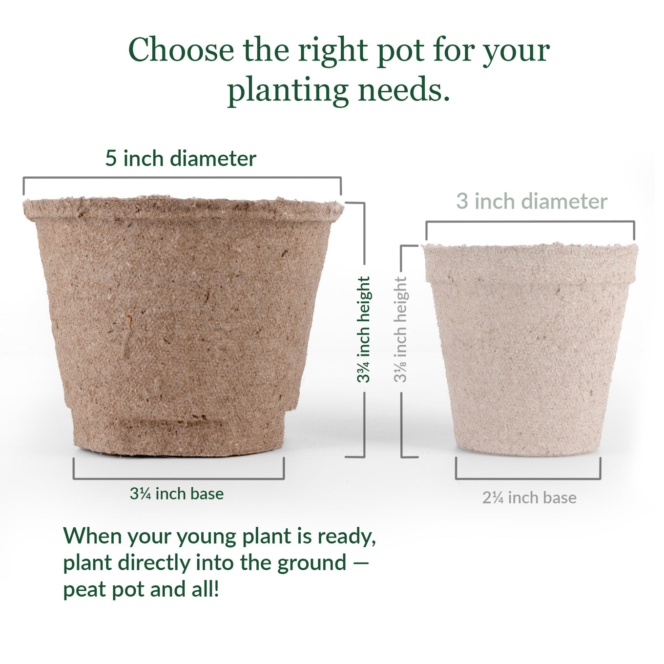 Two peat pots with measurements on a white background