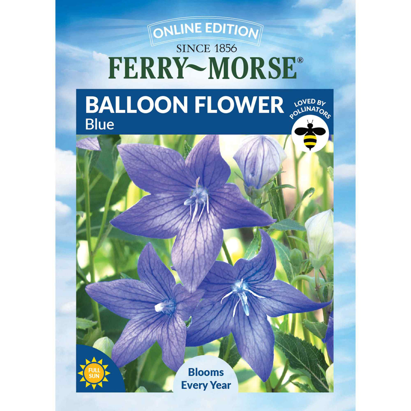 Front of Balloon Flower packaging