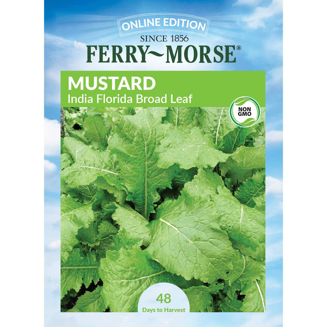 Ferry-Morse mustard India Florida broad leaf seed packet