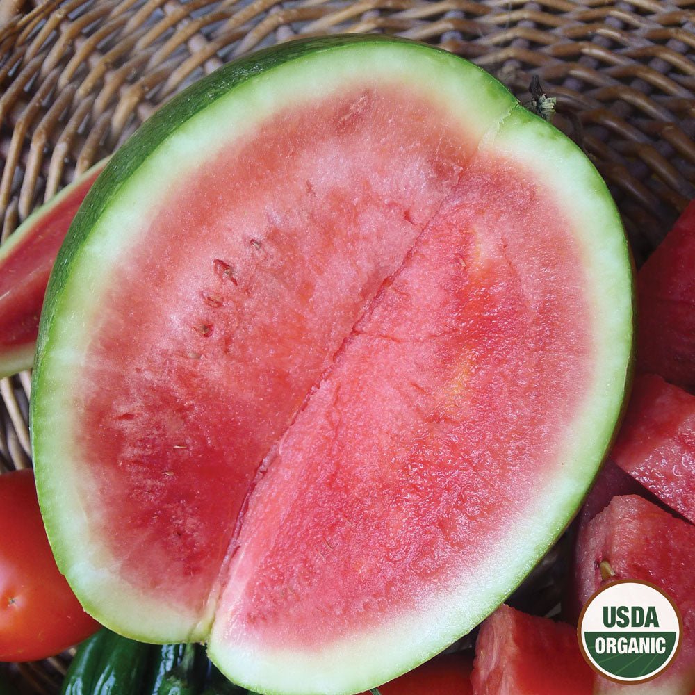 seedless watermelon seeds for planting Ferry-Morse Organic Watermelon Seeds 500 Milligram(s)