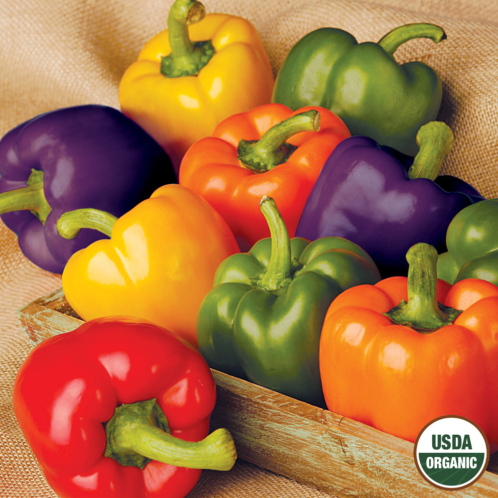 A variety of colorful bell peppers including red, yellow, green, orange, and purple, displayed on a wooden surface with a burlap background, featuring a USDA Organic label.