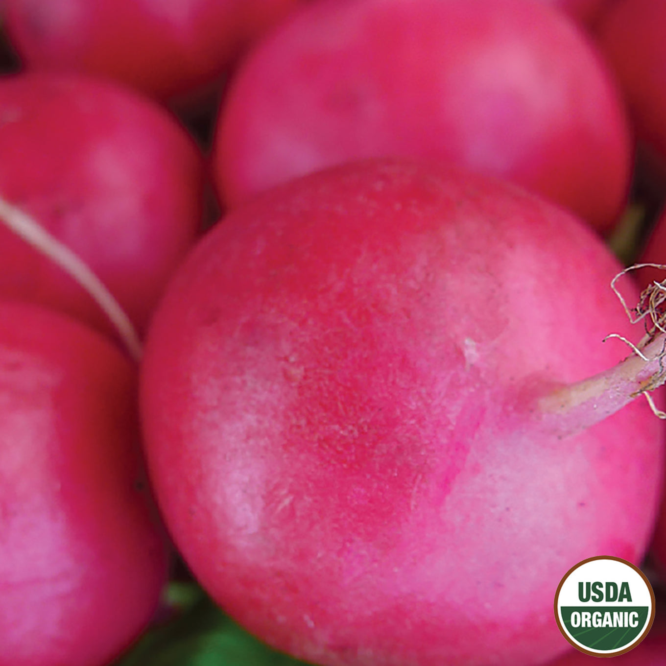 Close-up of fresh red radishes with a USDA Organic label.