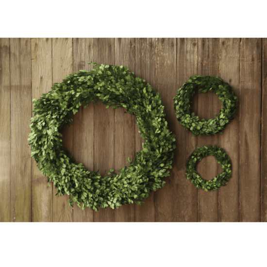Preserved Genuine Boxwood Wreath - Ferry - Morse
