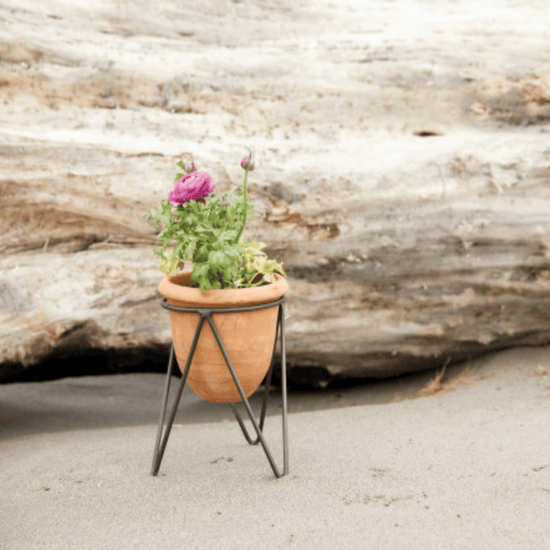 Terracotta Pot with Metal Stand - Ferry - Morse
