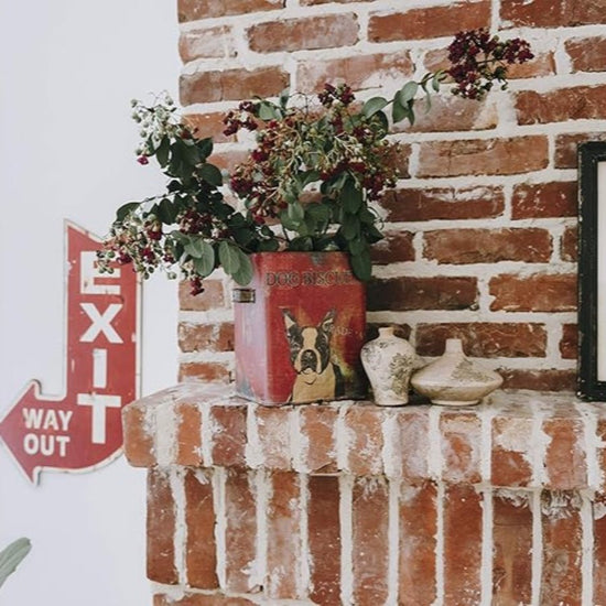 Vintage Tin Dog Biscuit Container with Boston Terrier - Ferry - Morse