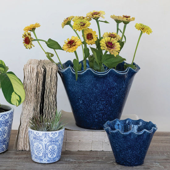 Set of blue ceramic planters with flowers on a wooden surface