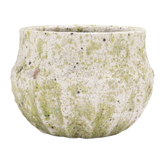 Textured green pot on a white background