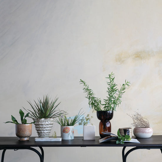 Table with various potted plants against a plain wall