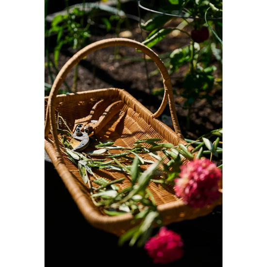 Wicker basket with greenery and pink flowers on a white background