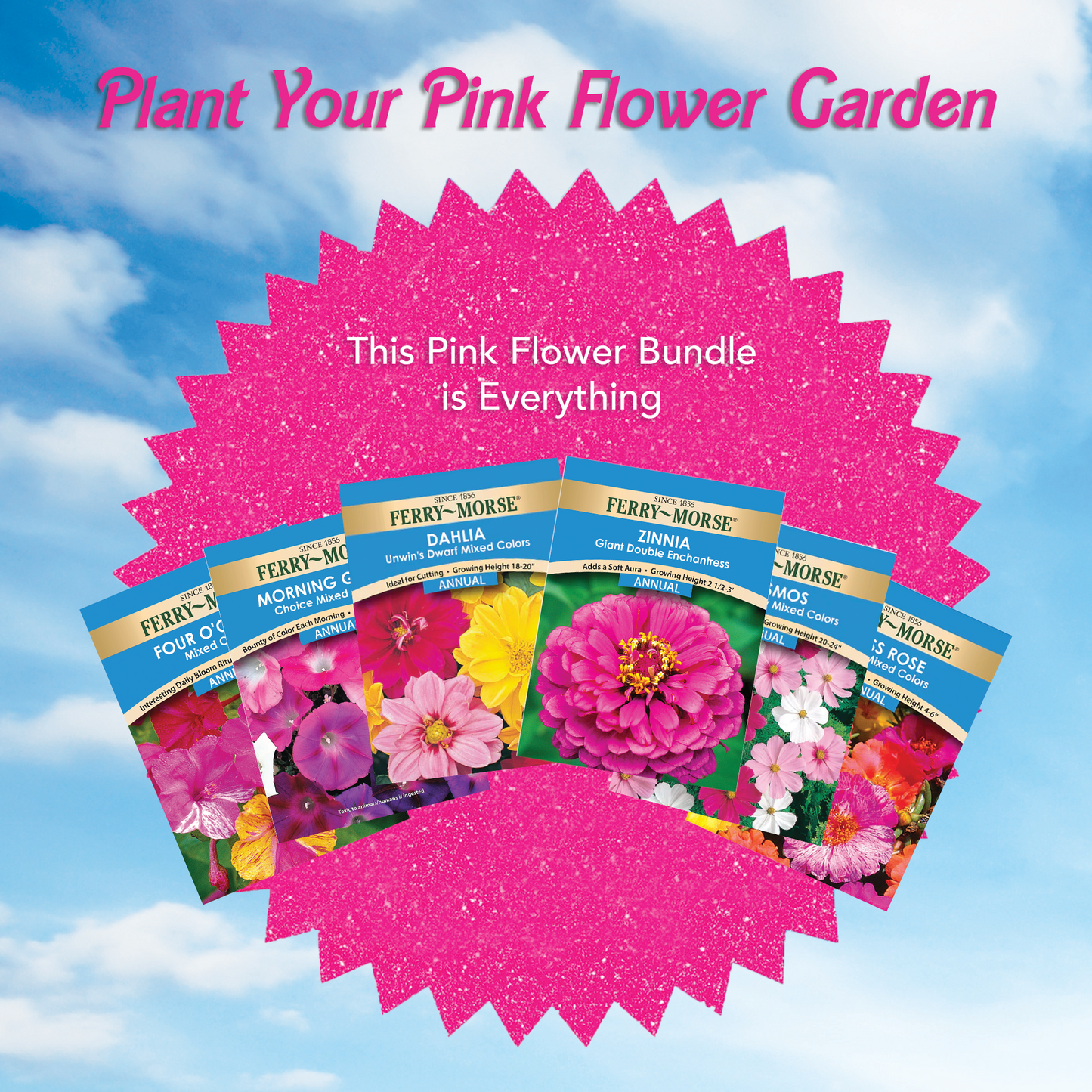 "Pop of Pink!" Flower Seed Bundle
