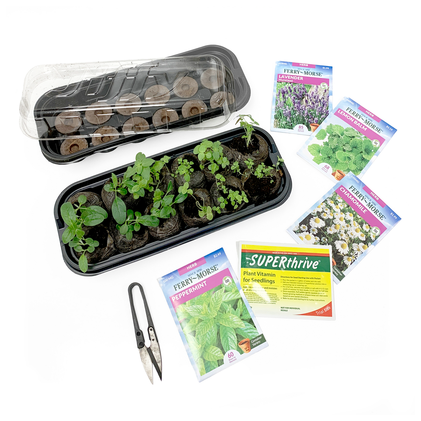 Grow-Your-Own Tea Herb Garden Kit