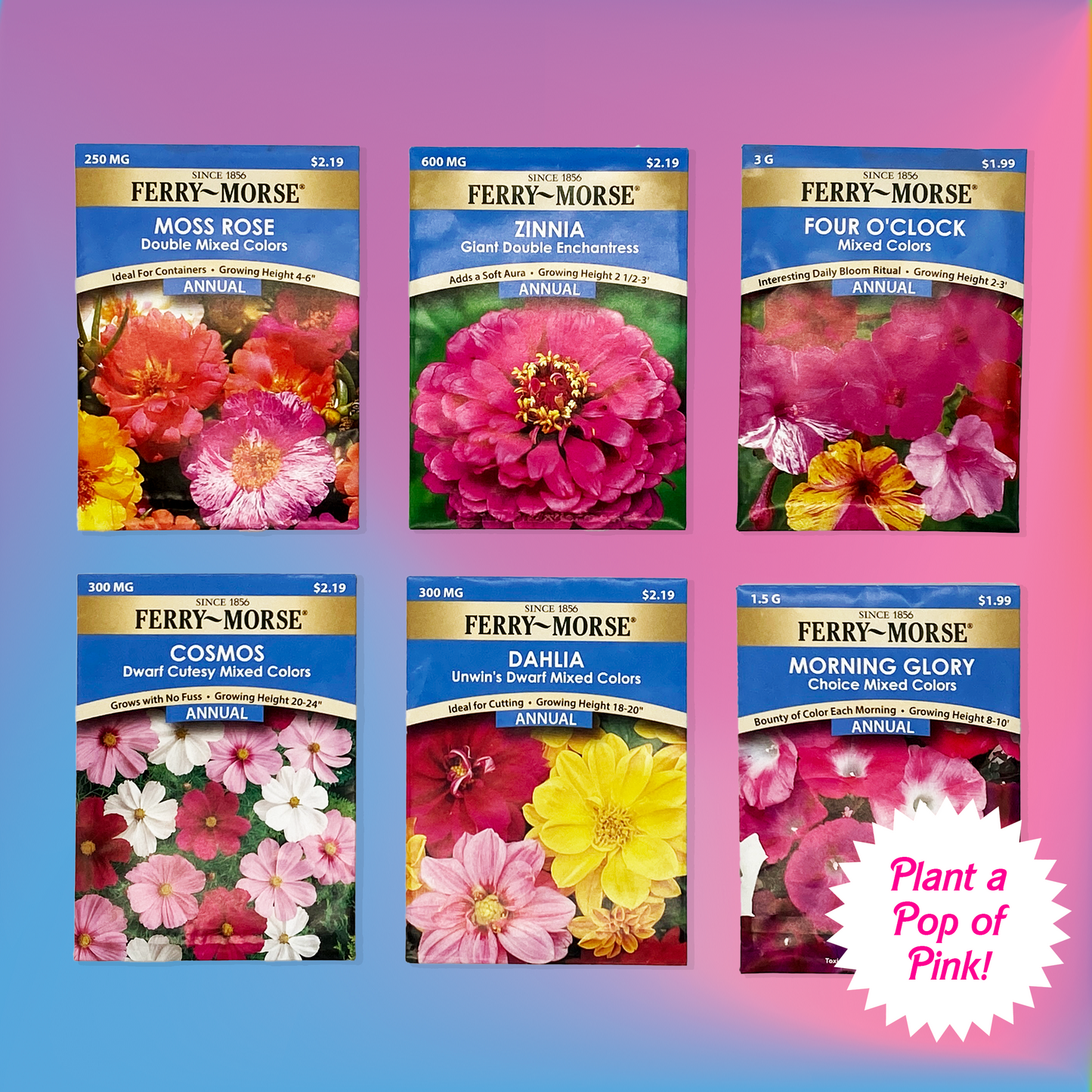 "Pop of Pink!" Flower Seed Bundle