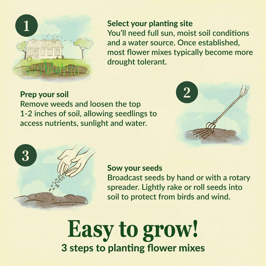 How to grow flower mixes