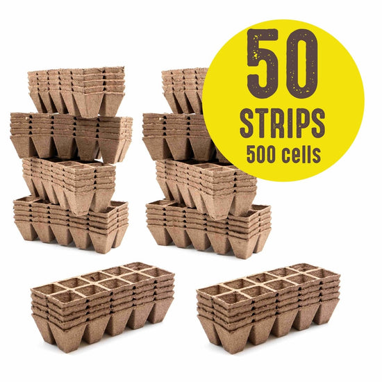 Jiffy - Strips 10 Cell Peat Strips for Seed Starting - Ferry - Morse