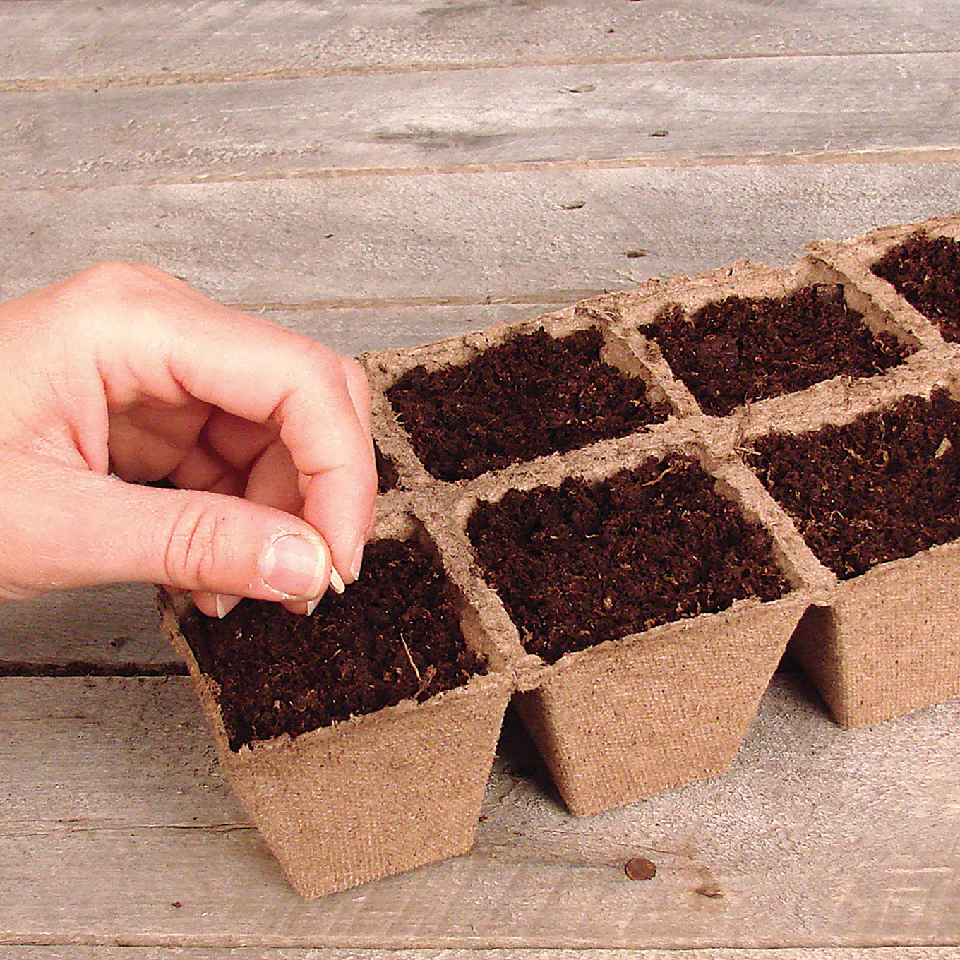 Biodegradable peat strips arranged in a grid pattern, each strip forming individual cells for seed starting.