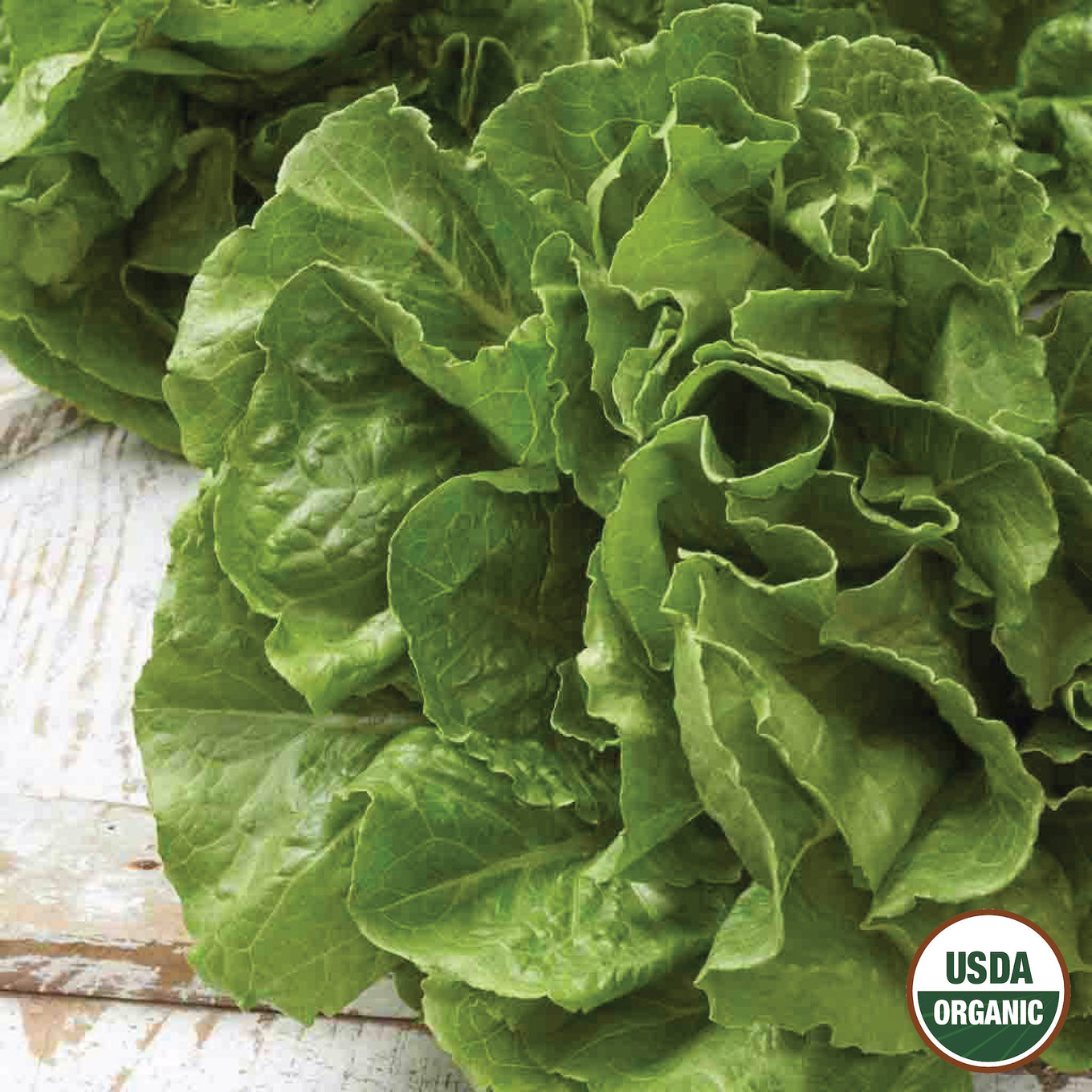 Close-up of fresh green Buttercrunch Lettuce leaves with a USDA Organic label in the bottom right corner.