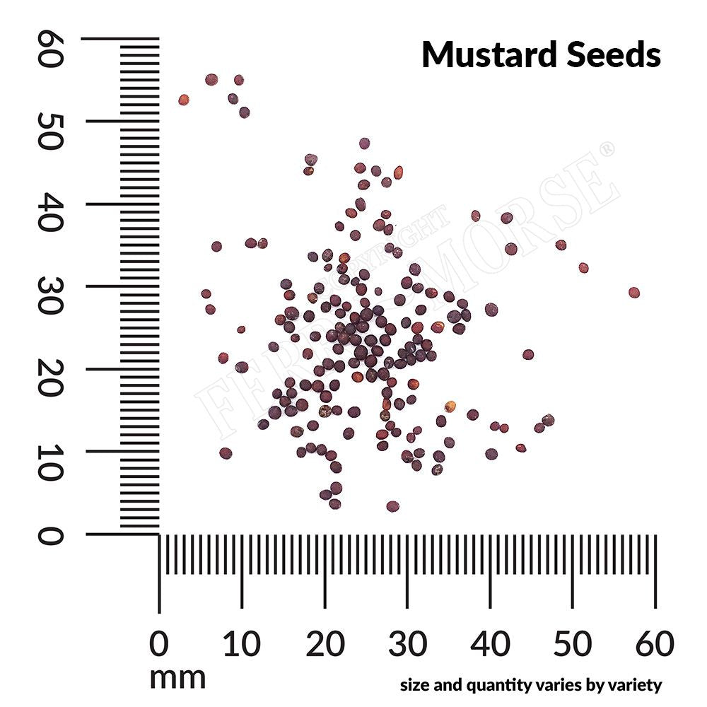 Mustard seed spill and measurement