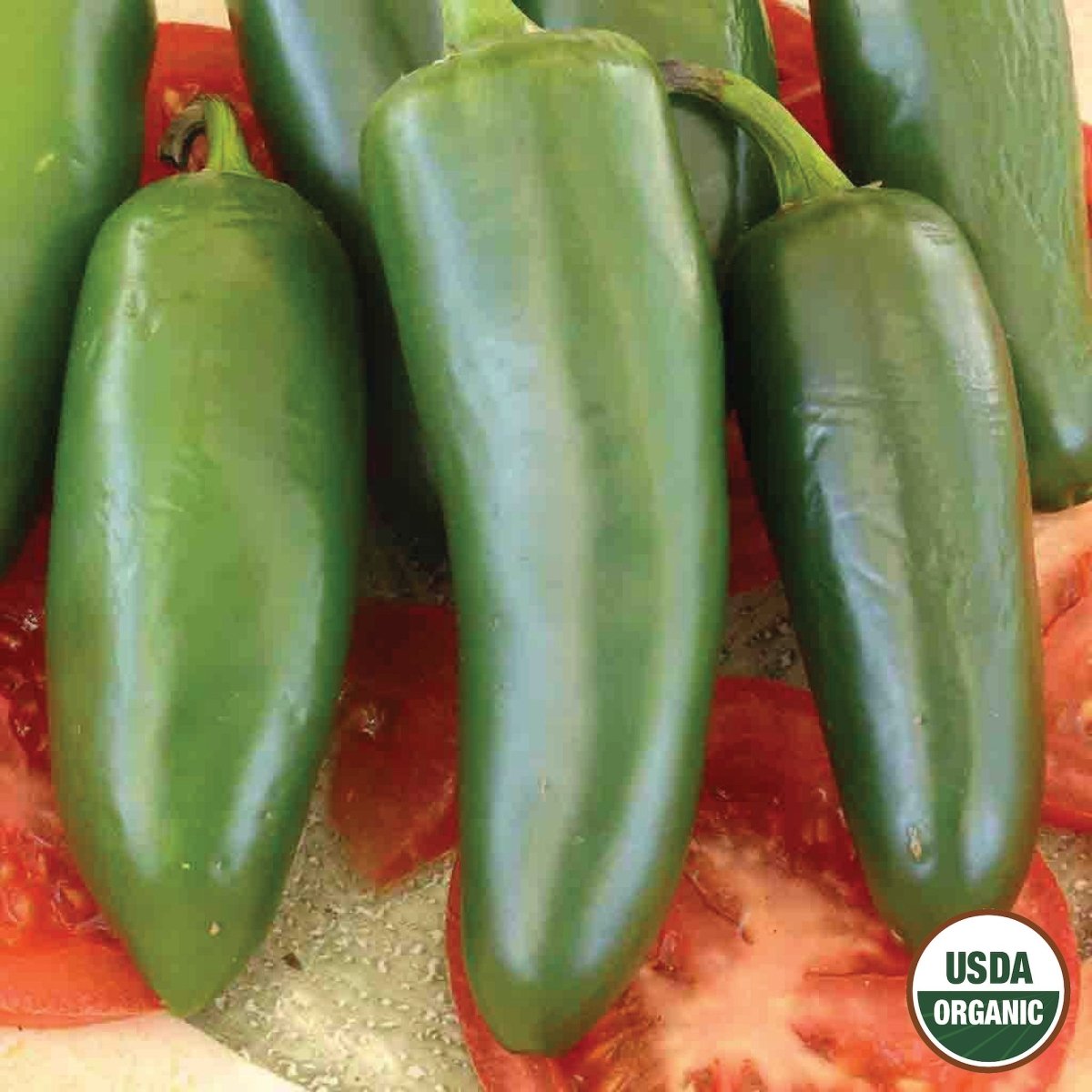 serrano pepper seeds to plant Pepper, Serrano Organic Seeds | Organic Pepper