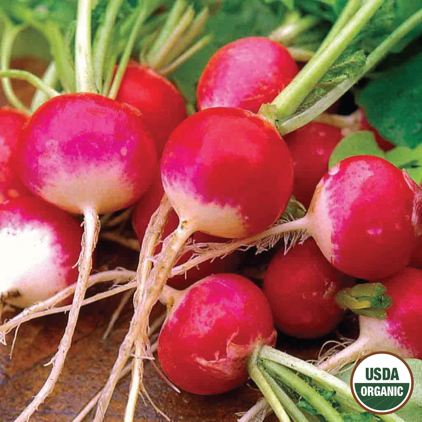 A cluster of red radishes with green stems, some with roots still attached, indicating freshly harvested. There is a USDA Organic label visible on the image.