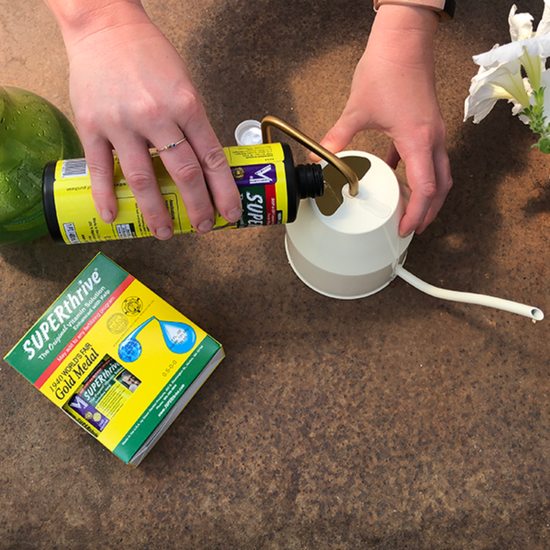 A gardener pouring SUPERthrive plant nutrients into a watering can, getting ready to water their white petunias in a container.