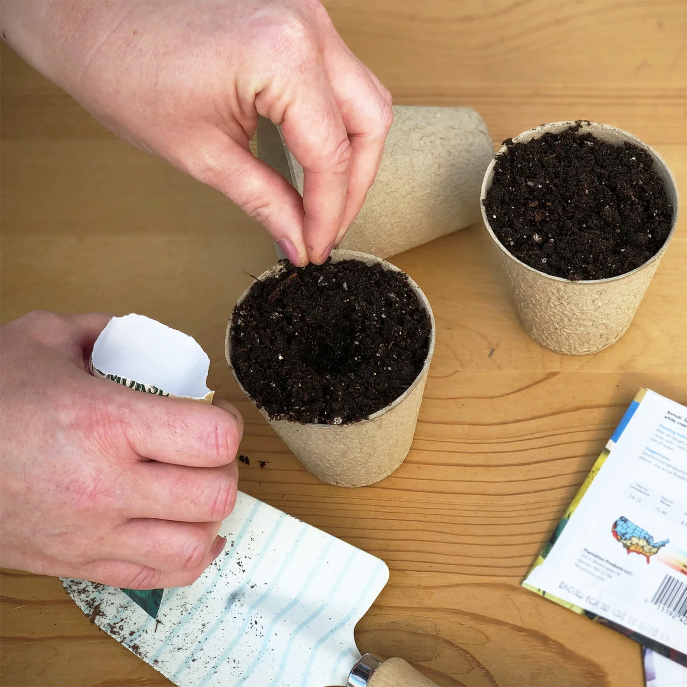 Hand planting seeds in plantable pots