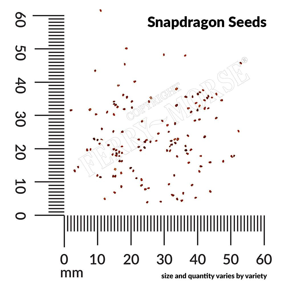 snapdragon seed spill and measurement