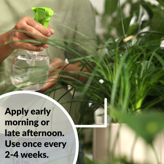 SUPERthrive Organic Neem Oil Leaf Polish, 8 oz - Ferry - Morse